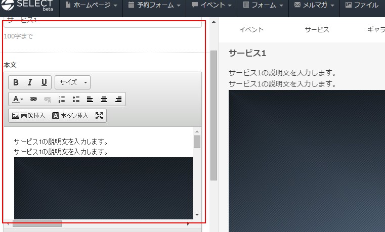 10.サービス設定フォーム