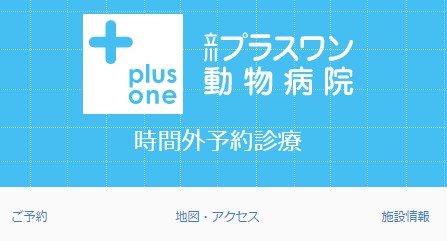 1.ロゴの様子