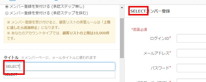5.入力内容がプレビューに反映されている