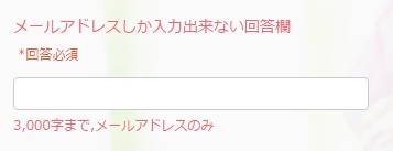 3.メールアドレスしか入力出来ない回答欄の様子