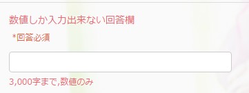 2.数値しか入力出来ない回答欄